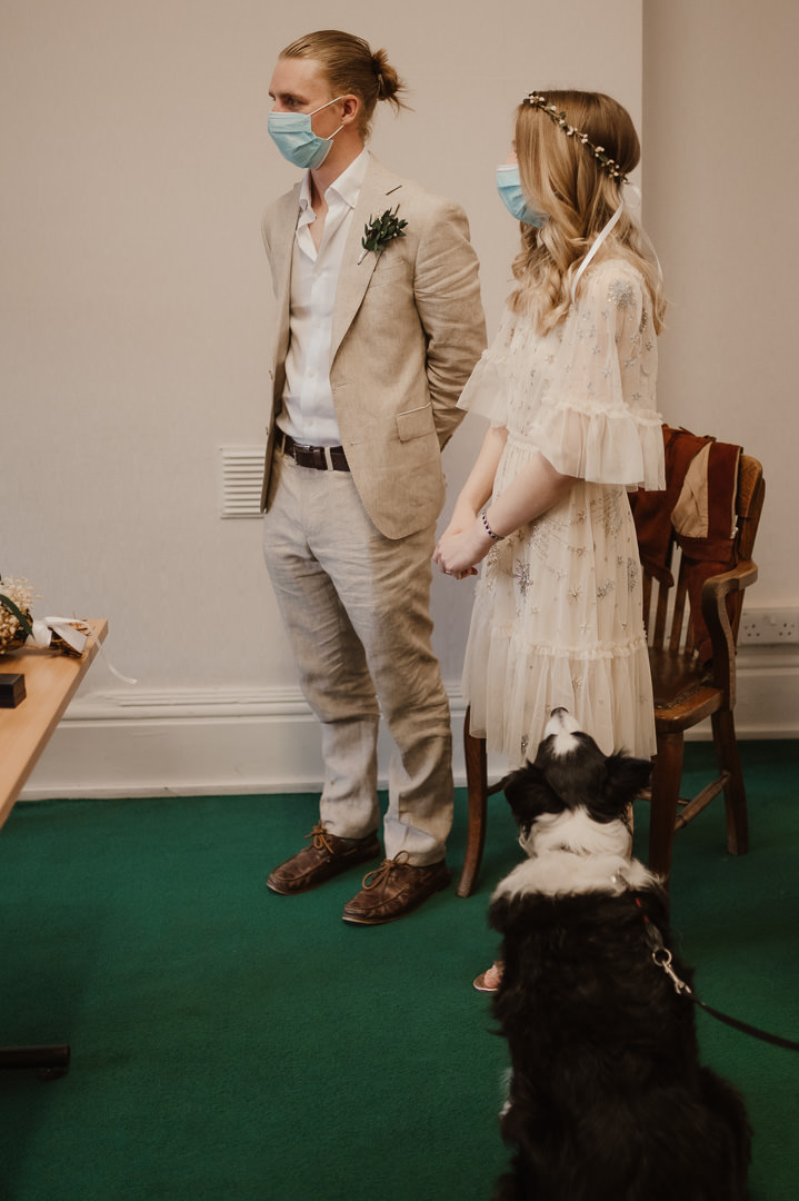 Pwllheli elopement with dog Wedding Photographer North Wales