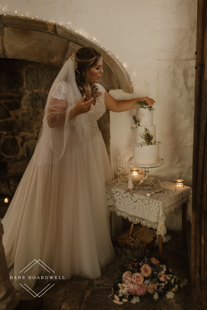 Penarth Fawr Elopement Wedding Photography