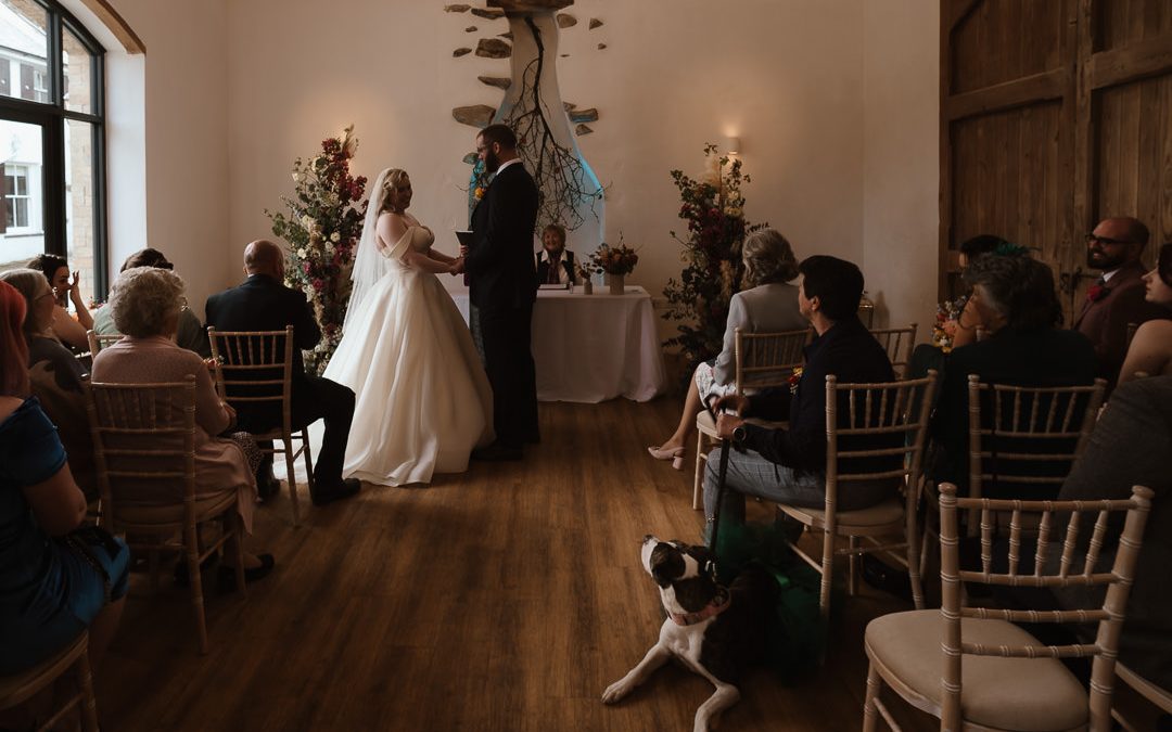 Talhenbont Hall Wedding Photography | Dogs at Weddings
