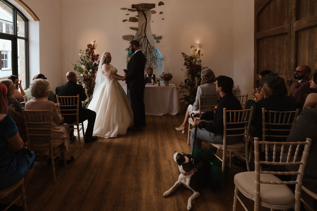 Talhenbont Hall Wedding Photography | Dogs at Weddings