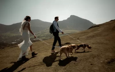 An adventurous elopement with dogs and a wedding ceremony at Penarth Fawr