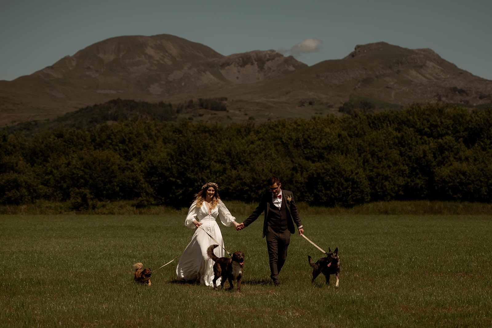 Eloping with your dog in Wales - the ultimate 2024 guide