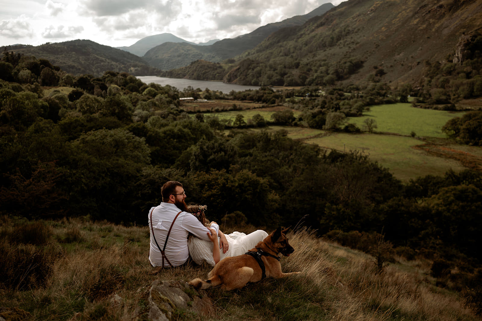 Eloping with your dog in Wales - the ultimate 2024 Guide