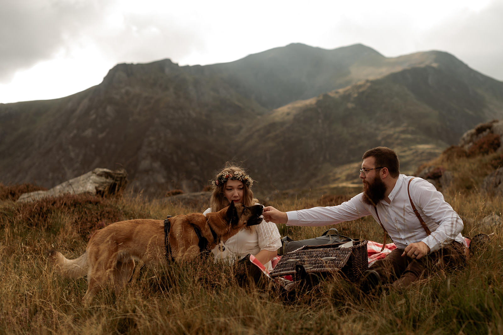 Eloping with your dog in Wales - the Ultimate 2024 Guide