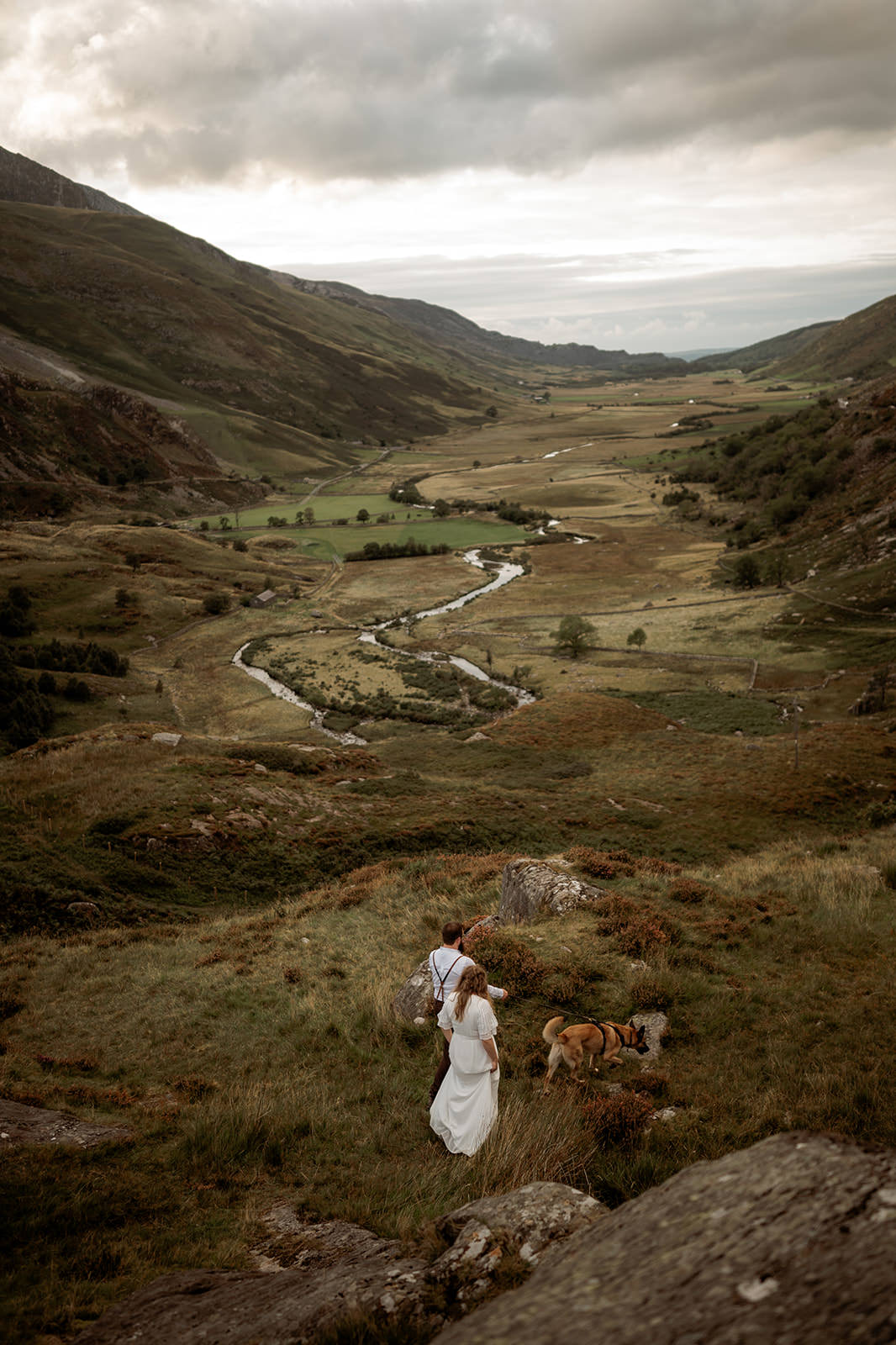 Eloping with your dog in Wales - the ultimate 2024 Guide
