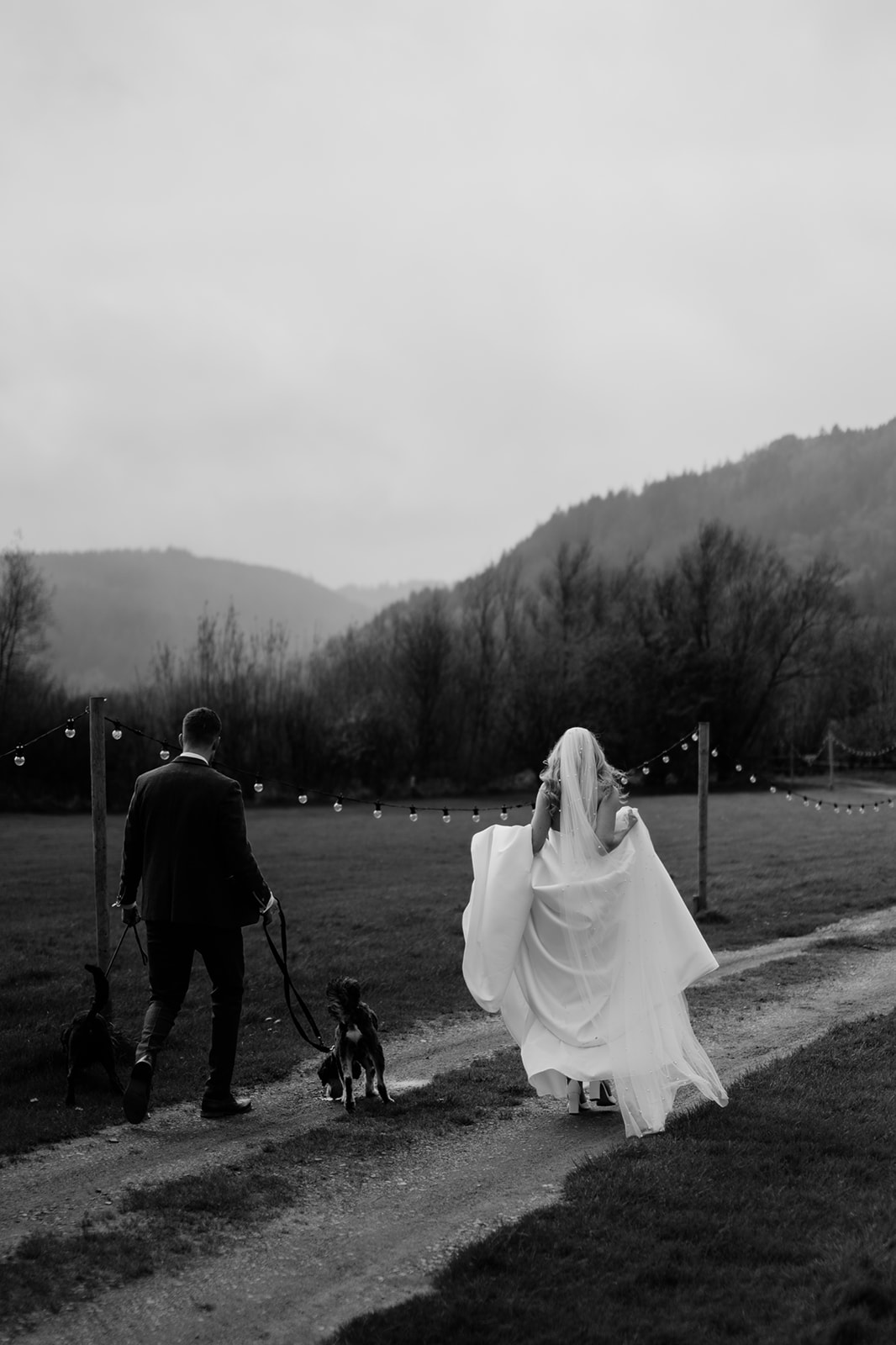 modern wedding photography at Hafod Farm