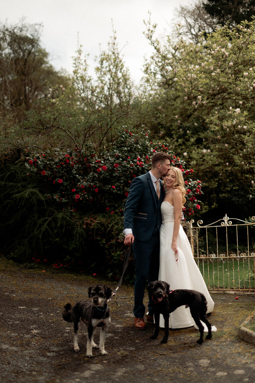 Modern Wedding Photography at Hafod Farm